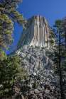 Devils Tower National Monument, a rare form of igneous rock, rises out of the Wyoming landscape. Art Print